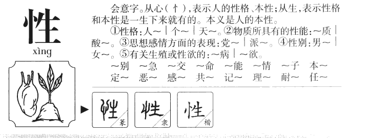 性字五行属什么-性字起名的寓意-性字意思