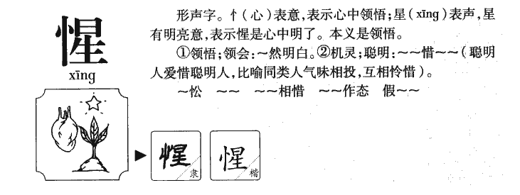 惺字五行属什么-惺字起名的寓意-惺字意思