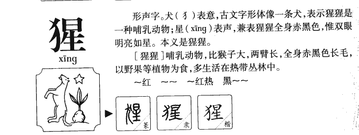 猩字五行属什么-猩字起名的寓意-猩字意思