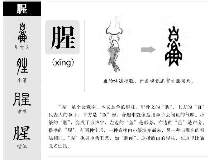 腥字五行属什么-腥字起名的寓意-腥字意思