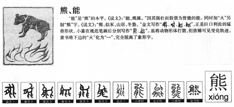 熊字五行属什么-熊字起名的寓意-熊字意思