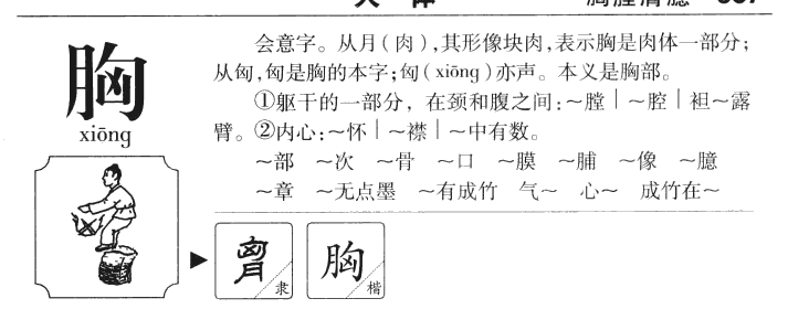 胸字五行属什么-胸字起名的寓意-胸字意思