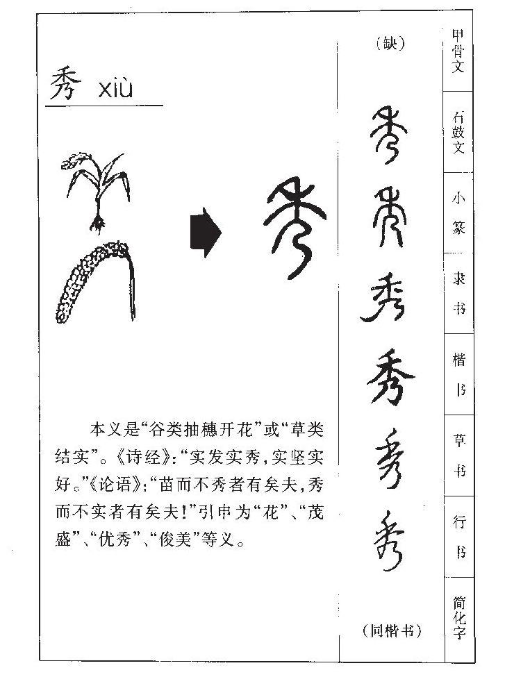 秀字五行属什么-秀字起名的寓意-秀字意思