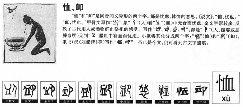 恤字五行属什么-恤字起名的寓意-恤字意思
