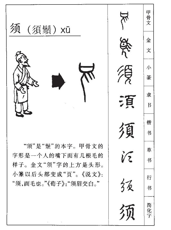 须字五行属什么-须字起名的寓意-须字意思