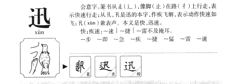 迅字五行属什么-迅字起名的寓意-迅字意思