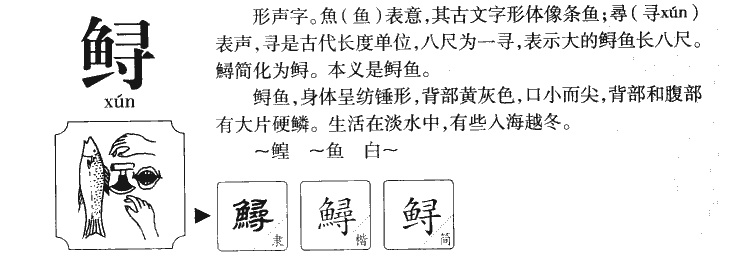 鲟字五行属什么-鲟字起名的寓意-鲟字意思
