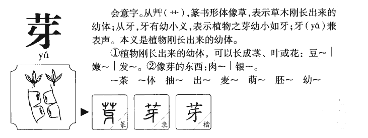 芽字五行属什么-芽字起名的寓意-芽字意思