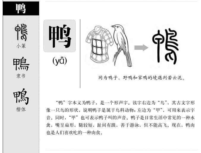 鸭字五行属什么-鸭字起名的寓意-鸭字意思