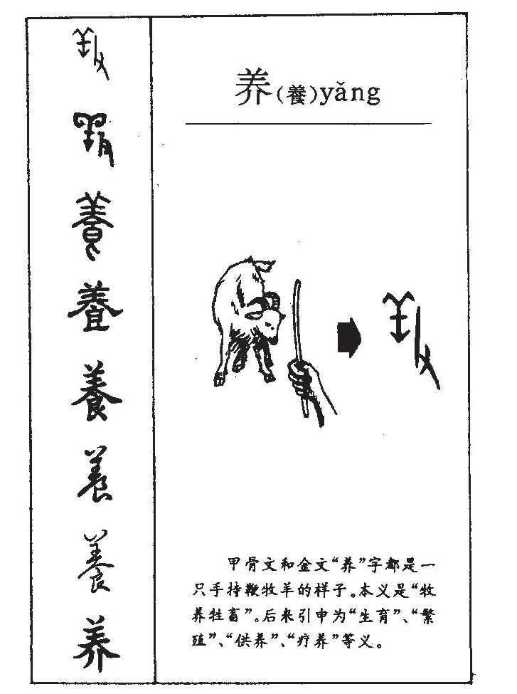 养字五行属什么-养字起名的寓意-养字意思