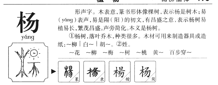杨字五行属什么-杨字起名的寓意-杨字意思