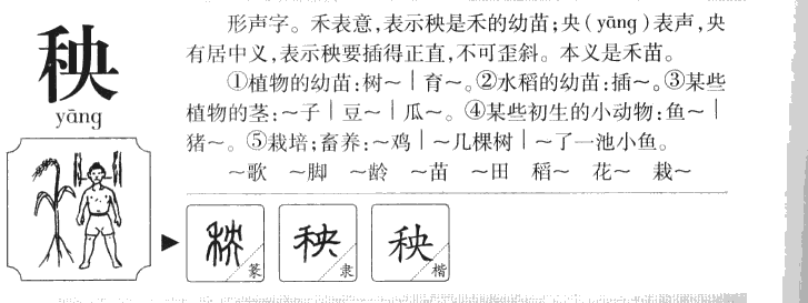 秧字五行属什么-秧字起名的寓意-秧字意思
