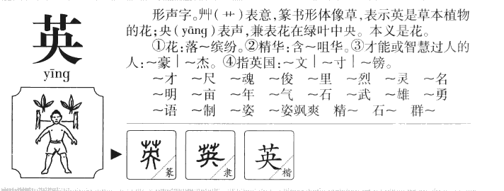 英字五行属什么-英字起名的寓意-英字意思