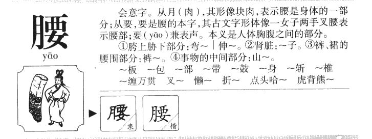 腰字五行属什么-腰字起名的寓意-腰字意思