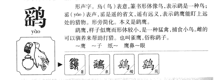鹞字五行属什么-鹞字起名的寓意-鹞字意思