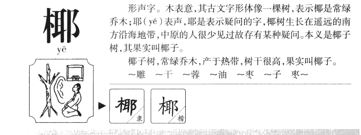 椰字五行属什么-椰字起名的寓意-椰字意思