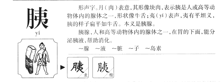 胰字五行属什么-胰字起名的寓意-胰字意思