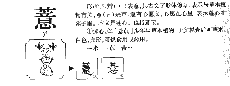 薏字五行属什么-薏字起名的寓意-薏字意思