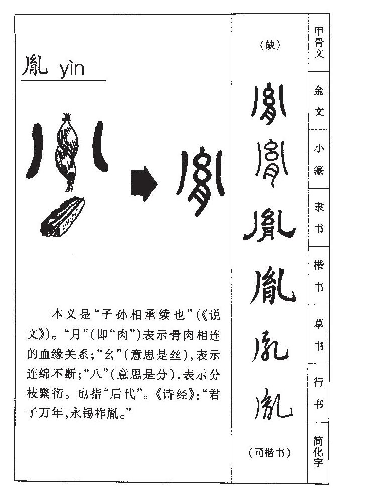 胤字五行属什么-胤字起名的寓意-胤字意思