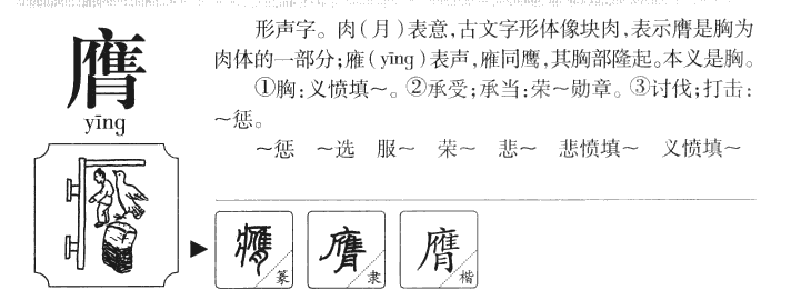 膺字五行属什么-膺字起名的寓意-膺字意思