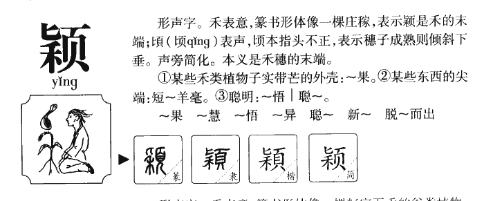 颖字五行属什么-颖字起名的寓意-颖字意思