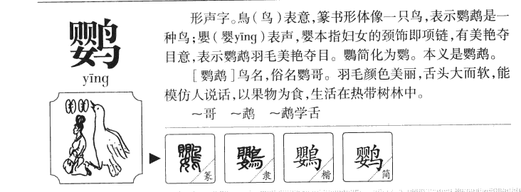 鹦字五行属什么-鹦字起名的寓意-鹦字意思