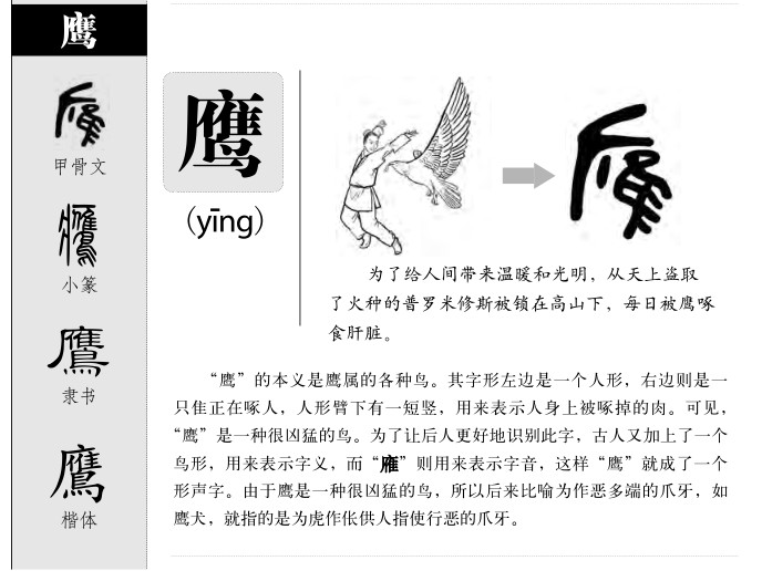 鹰字五行属什么-鹰字起名的寓意-鹰字意思