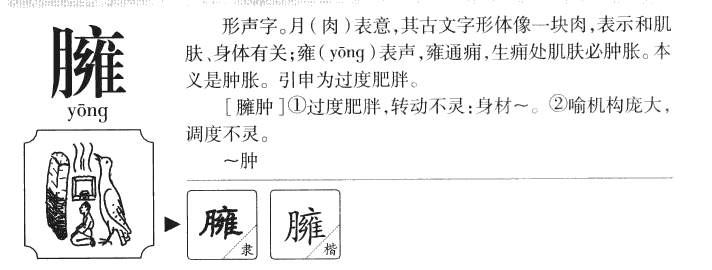 臃字五行属什么-臃字起名的寓意-臃字意思