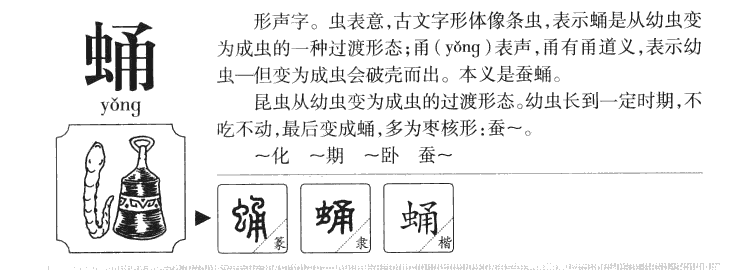 蛹字五行属什么-蛹字起名的寓意-蛹字意思