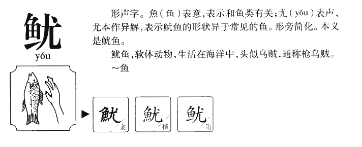 鱿字五行属什么-鱿字起名的寓意-鱿字意思