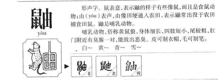 鼬字五行属什么-鼬字起名的寓意-鼬字意思