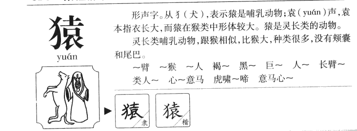 猿字五行属什么-猿字起名的寓意-猿字意思