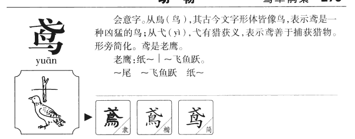 鸢字五行属什么-鸢字起名的寓意-鸢字意思