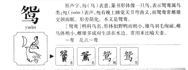 鸳字五行属什么-鸳字起名的寓意-鸳字意思