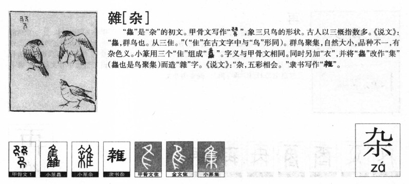 杂字五行属什么-杂字起名的寓意-杂字意思