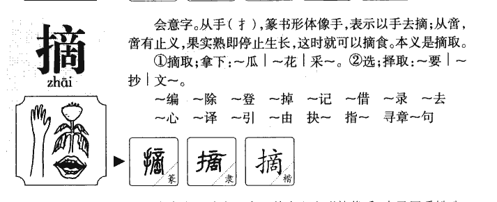 摘字五行属什么-摘字起名的寓意-摘字意思