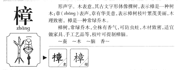 樟字五行属什么-樟字起名的寓意-樟字意思