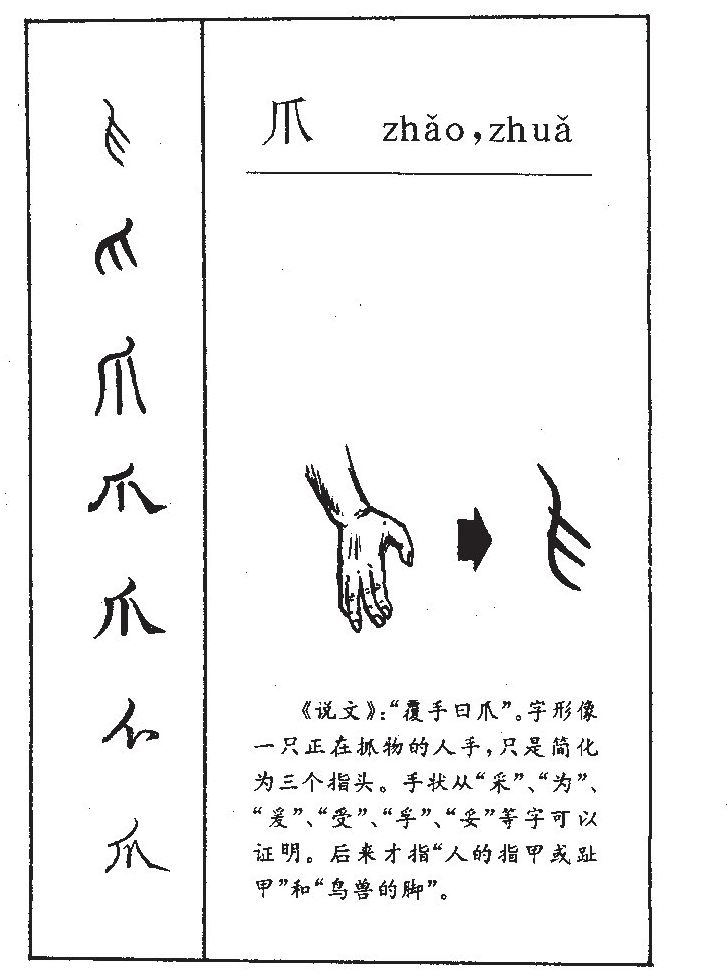 爪字五行属什么-爪字起名的寓意-爪字意思