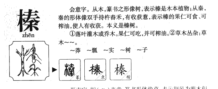 榛字五行属什么-榛字起名的寓意-榛字意思