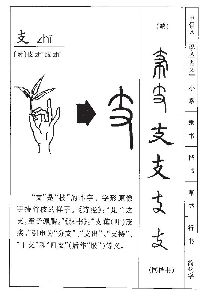 支字五行属什么-支字起名的寓意-支字意思