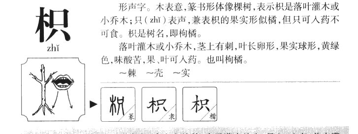 枳字五行属什么-枳字起名的寓意-枳字意思