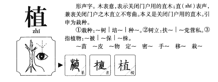 植字五行属什么-植字起名的寓意-植字意思