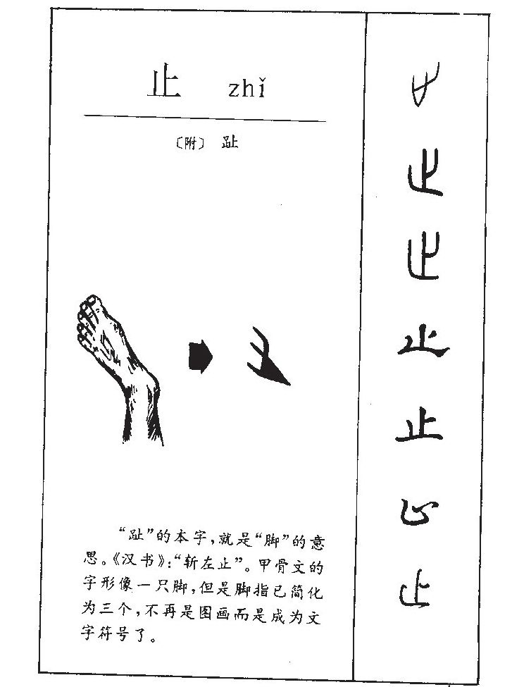 止字五行属什么-止字起名的寓意-止字意思