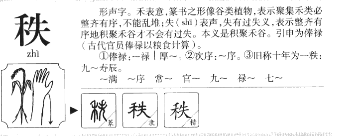秩字五行属什么-秩字起名的寓意-秩字意思