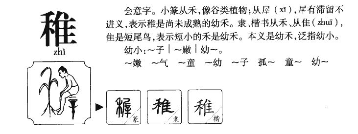 稚字五行属什么-稚字起名的寓意-稚字意思
