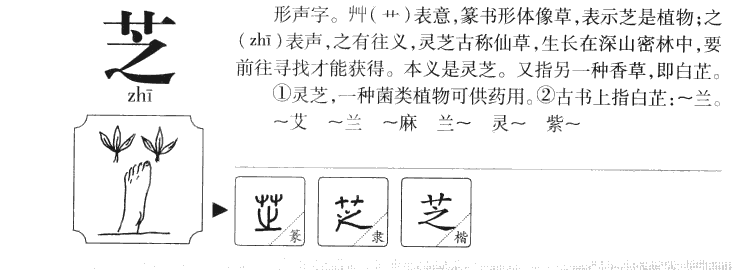 芝字五行属什么-芝字起名的寓意-芝字意思