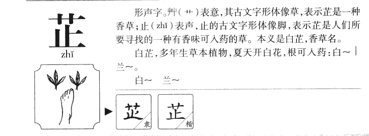 芷字五行属什么-芷字起名的寓意-芷字意思