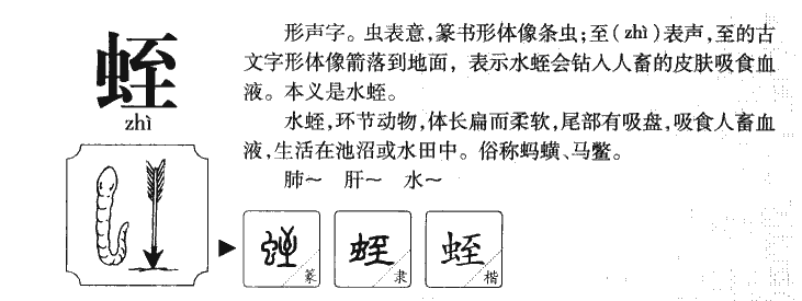蛭字五行属什么-蛭字起名的寓意-蛭字意思