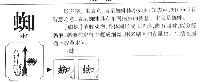 蜘字五行属什么-蜘字起名的寓意-蜘字意思