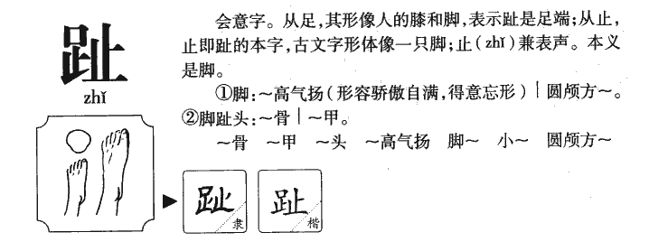 趾字五行属什么-趾字起名的寓意-趾字意思